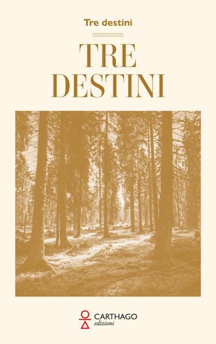 Tre destini - Basilio Fiorentino - copertina