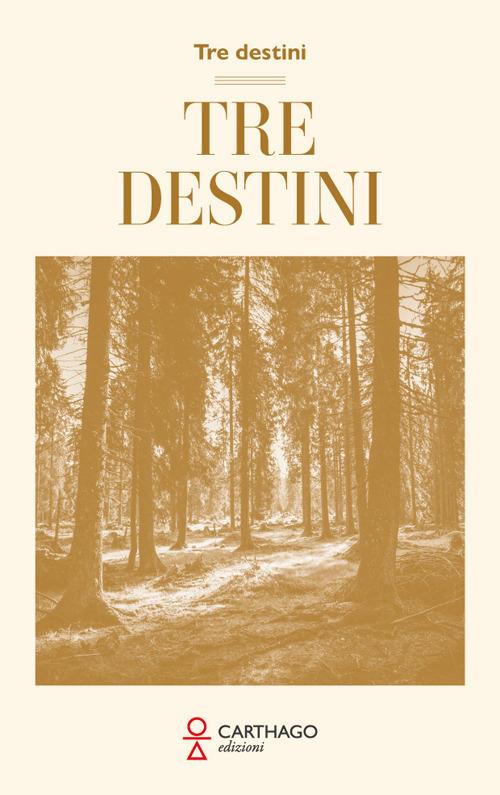 Tre destini - Basilio Fiorentino - copertina