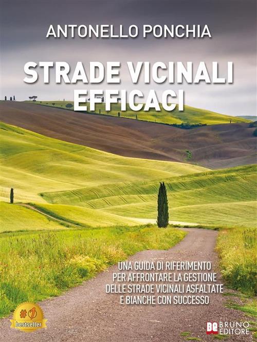 Strade vicinali efficaci. Una guida di riferimento per affrontare la gestione delle strade vicinali asfaltate e bianche con successo - Antonello Ponchia - ebook