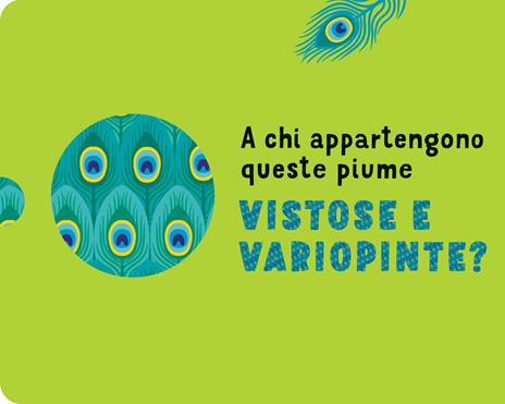 Indovina chi è? Ediz. a colori - Agnese Baruzzi - 2
