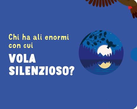 Indovina chi vive di notte? Ediz. a colori - Agnese Baruzzi - 2
