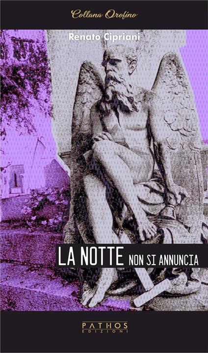 La notte non si annuncia - Renato Cipriani - copertina