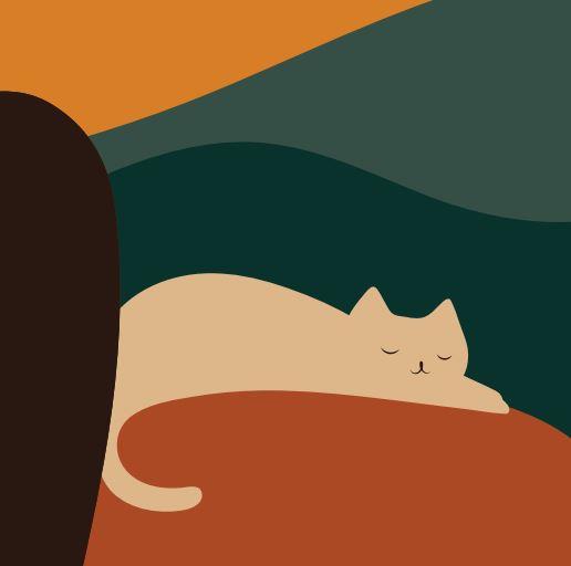 La saggezza del gatto. Mantra per risvegliare il lato felino. Ediz. a colori - Lim Heng Swee - 2