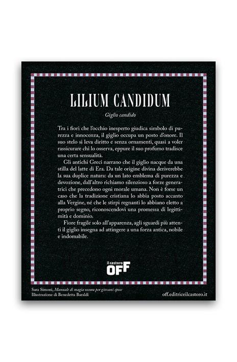 Manuale di magia oscura per giovani spose. Con gadget - Sara Simoni - 5