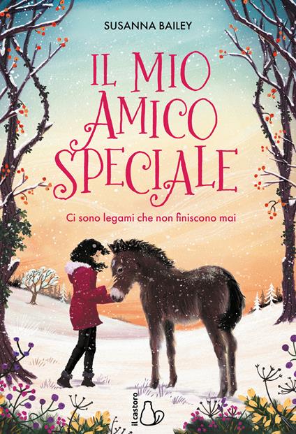 Il mio amico speciale. Ci sono legami che non finiscono mai - Susanna Bailey - copertina