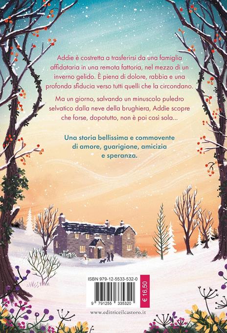 Il mio amico speciale. Ci sono legami che non finiscono mai - Susanna Bailey - 3