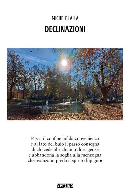 Declinazioni - Michele Lalla - ebook