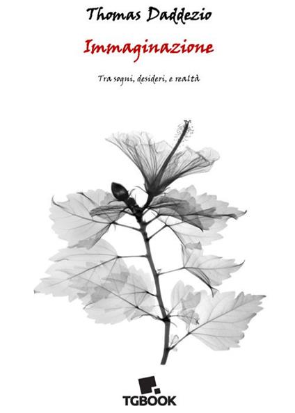 Immaginazione. Tra sogni, desideri e realtà - Thomas Daddezio - copertina