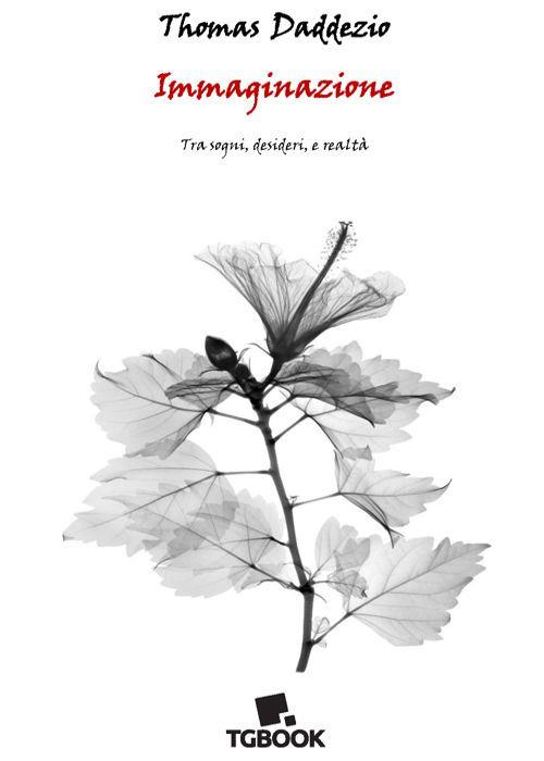 Immaginazione. Tra sogni, desideri e realtà - Thomas Daddezio - copertina
