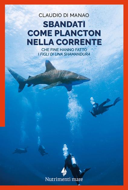 Sbandati come plancton nella corrente. Che fine hanno fatto i «figli di una Shamandura» - Claudio Di Manao - copertina
