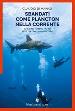 Sbandati come plancton nella corrente. Che fine hanno fatto «I figli di una Shamandura»