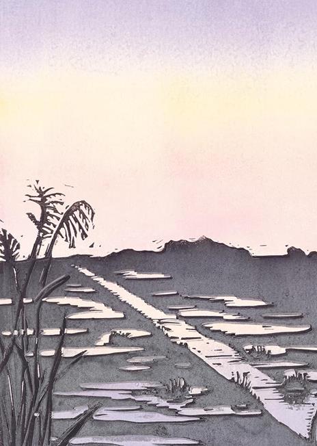 Tra mare e terra. Ediz. a colori - Marieke Ten Berge,Eva Moraal - 3