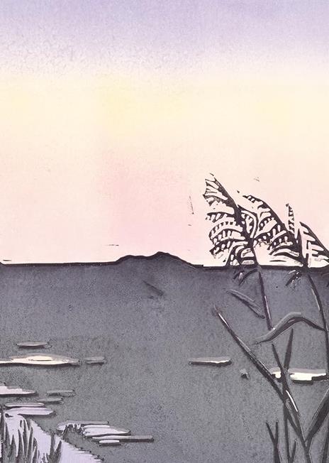 Tra mare e terra. Ediz. a colori - Marieke Ten Berge,Eva Moraal - 4
