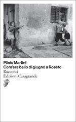 Com'era bello di giugno a Roseto. Racconti
