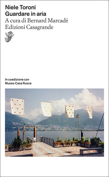 Guardare in aria - Niele Toroni - copertina