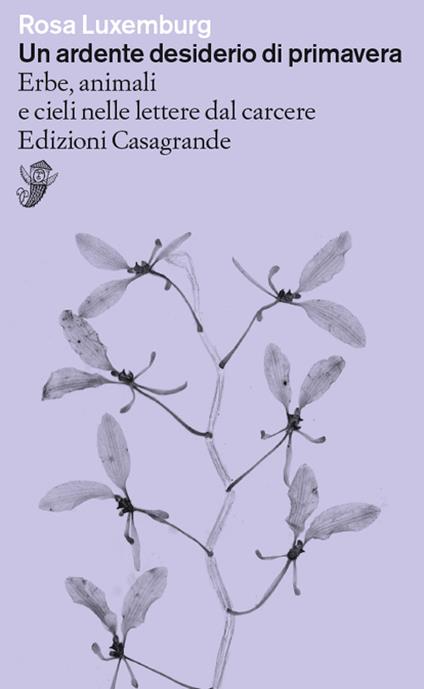 Un ardente desiderio di primavera. Erbe, animali e cieli nelle lettere dal carcere - Rosa Luxemburg - copertina