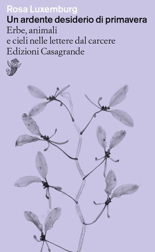 Un ardente desiderio di primavera. Erbe, animali e cieli nelle lettere dal carcere - Rosa Luxemburg - copertina