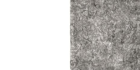 Ciprian Muresan. Doppia ombra. Ediz. italiana e inglese - 6