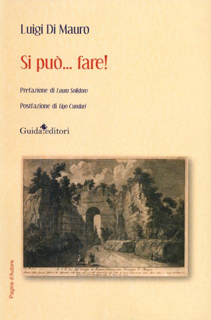 Si può... fare - Luigi Di Mauro - copertina