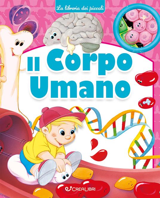 Il corpo umano. Ediz. a colori - copertina