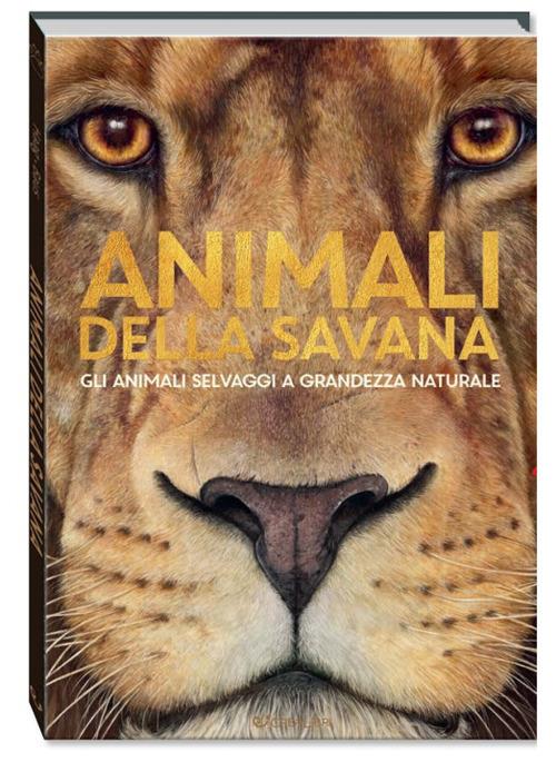 Animali della savana - copertina