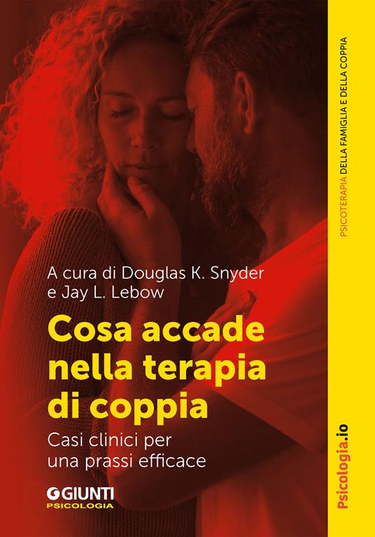Cosa accade nella terapia di coppia. Casi clinici per una prassi efficace - Jay L. Lebow,Douglas K. Snyder - ebook