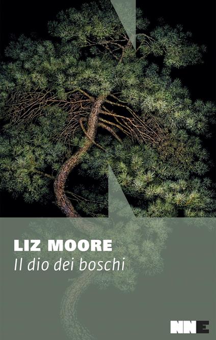 Il dio dei boschi - Liz Moore,Ada Arduini - ebook