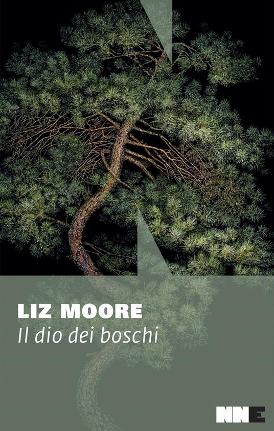 Il dio dei boschi - Liz Moore,Ada Arduini - ebook