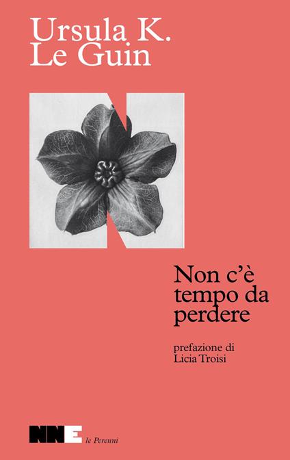 Non c'è tempo da perdere - Ursula K. Le Guin - copertina