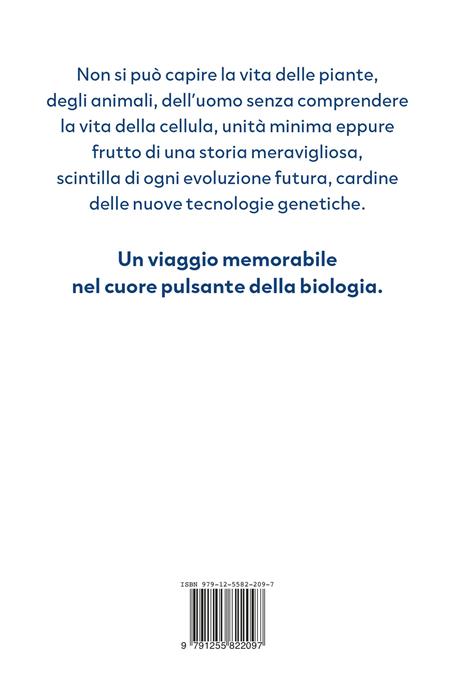 Il cuore della vita - Lorenzo Corti - 2
