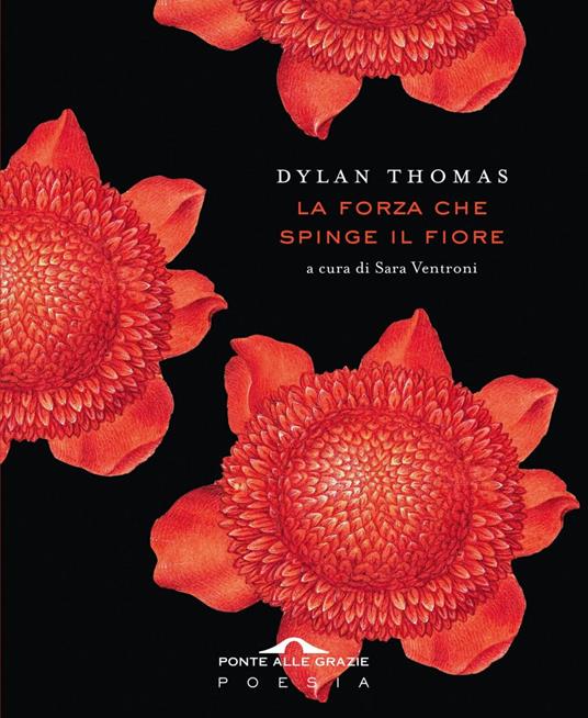 La forza che spinge il fiore - Dylan Thomas,Sara Ventroni - ebook
