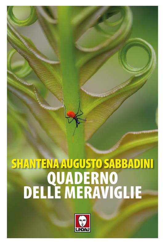 Quaderno delle meraviglie - Shantena Augusto Sabbadini - copertina