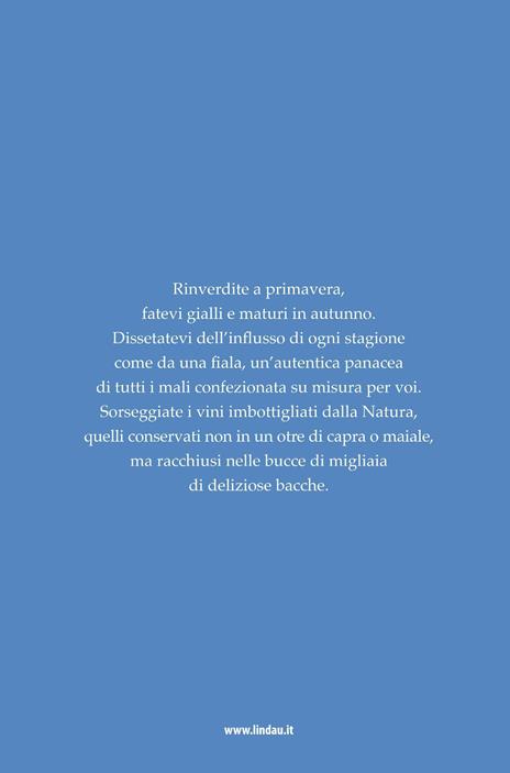 Mirtilli o L'importanza delle piccole cose - Henry David Thoreau - 4