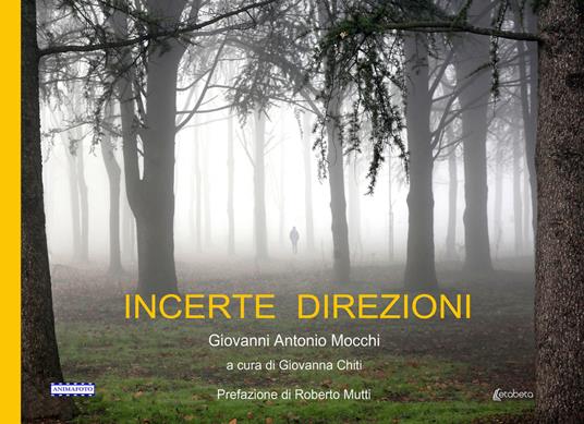 Incerte direzioni - Giovanni Antonio Mocchi - copertina