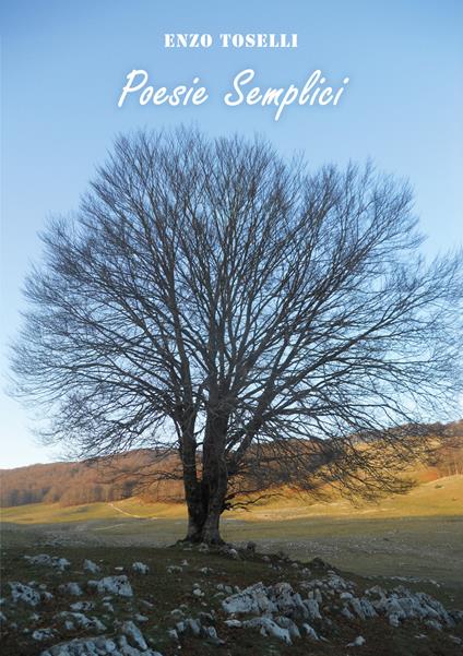 Poesie semplici - Enzo Toselli - copertina