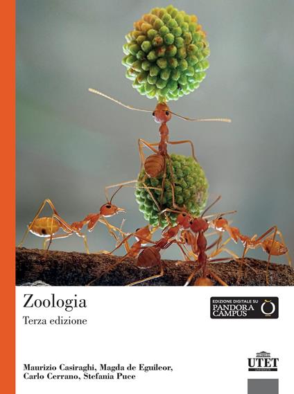 Zoologia - Maurizio Casiraghi,Magda De Eguileor,Carlo Cerrano - copertina