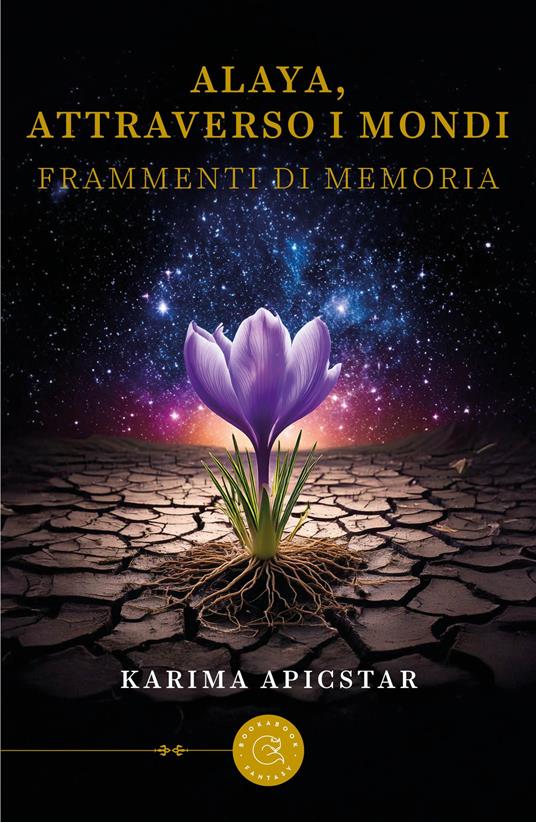 Alaya, attraverso i mondi. Frammenti di memoria - Karima Apicstar - copertina