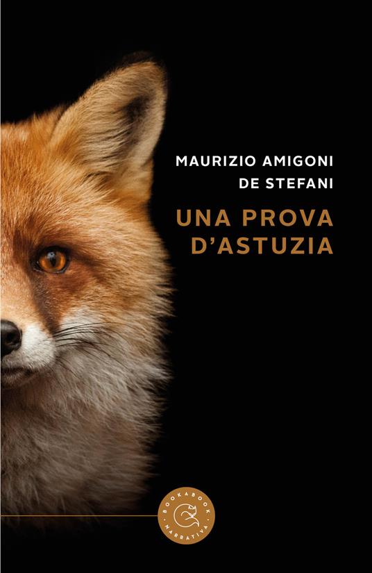 Una prova d'astuzia - Maurizio Amigoni De Stefani - copertina