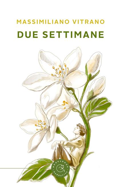 Due settimane - Massimiliano Vitrano - copertina
