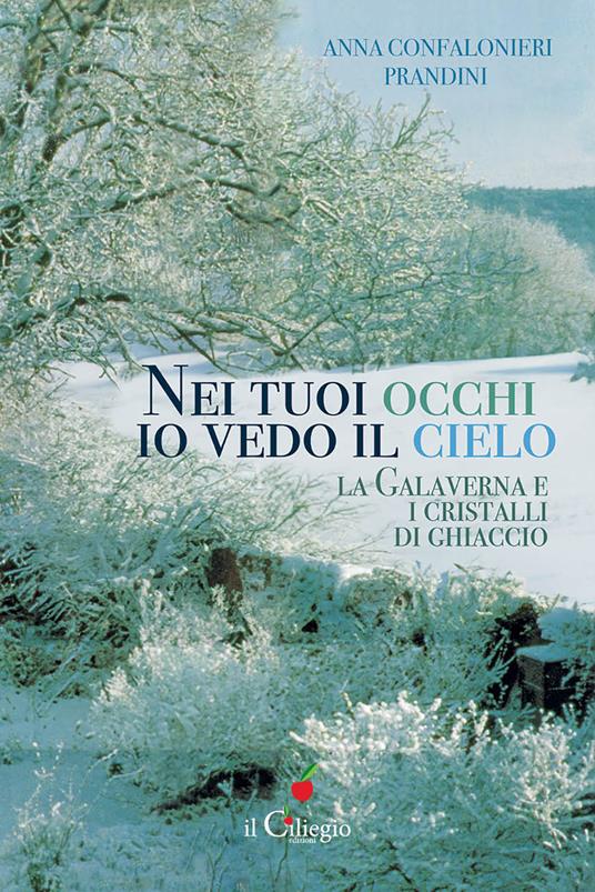 Nei tuoi occhi io vedo il cielo. La galaverna e i cristalli di ghiaccio - Anna Confalonieri Prandini - copertina
