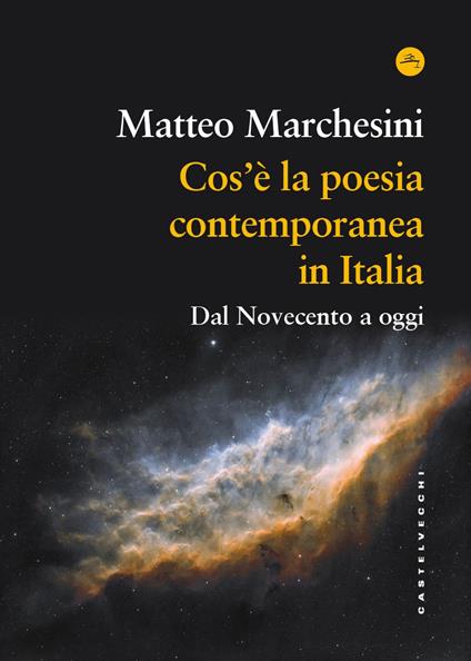 Cos'è la poesia contemporanea in Italia. Dal Novecento a oggi - Matteo Marchesini - copertina