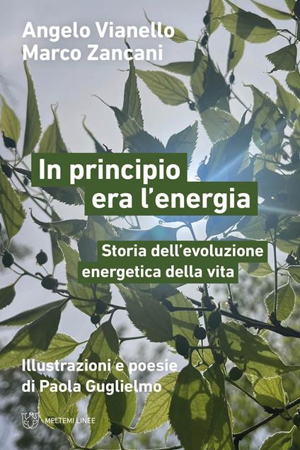 In principio era l’energia. Storia dell’evoluzione energetica della vita - Angelo Vianello,Marco Zancani - copertina