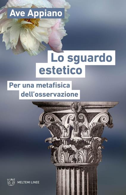 Lo sguardo estetico. Per una metafisica dell'osservazione - Ave Appiano - ebook
