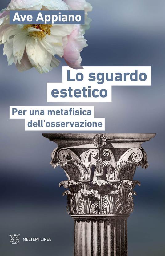 Lo sguardo estetico. Per una metafisica dell'osservazione - Ave Appiano - ebook