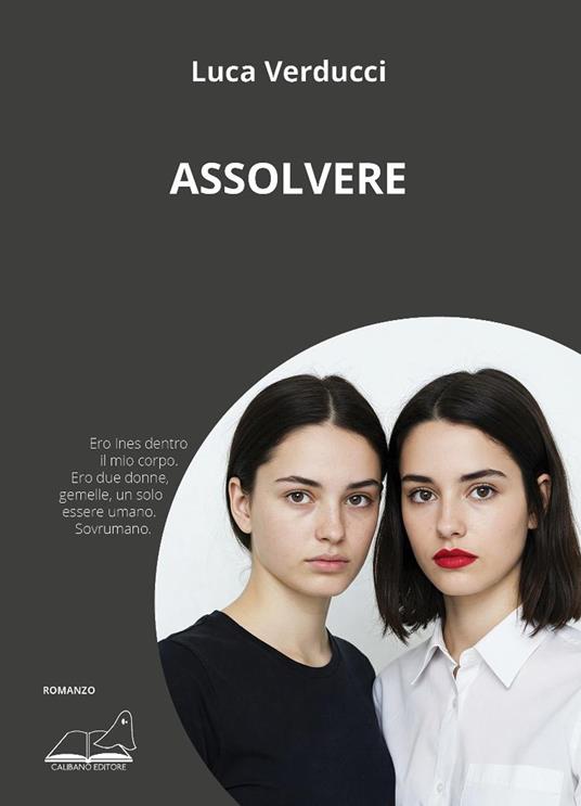 Assolvere - Luca Verducci - copertina