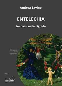 Libro Entelechia. Tre passi nella nigredo Andrea Savino