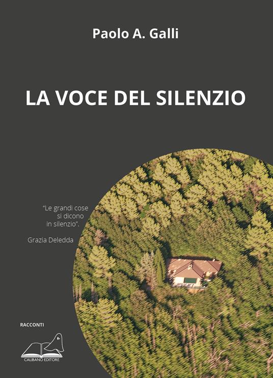 La voce del silenzio - Paolo Galli - copertina