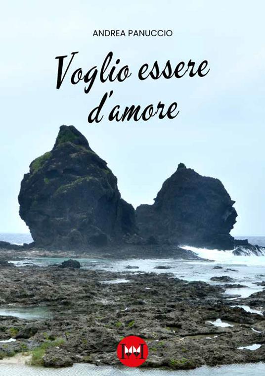 Voglio essere d'amore - Andrea Panuccio - copertina