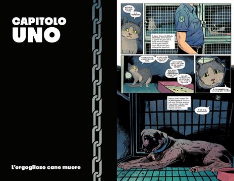 Animal pound - Peter Gross,Tom King - 2
