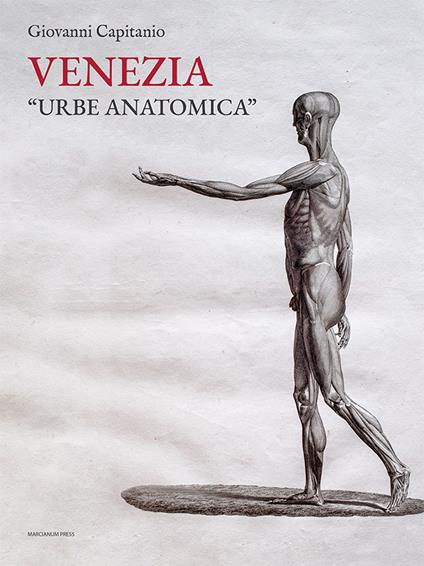 Venezia «urbe anatomica». Itinerari anatomici a Venezia e la Biblioteca della Scuola Grande di San Marco - Giovanni Capitanio - copertina